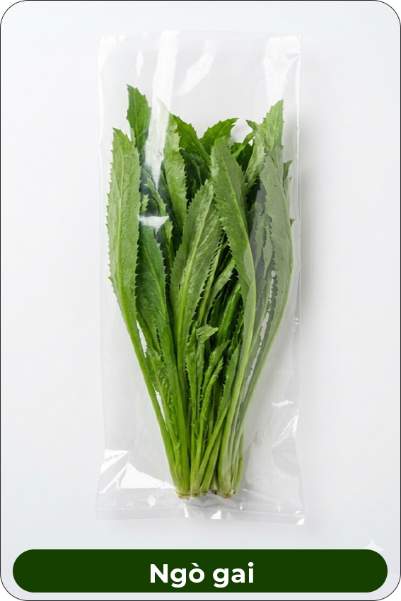 Ngò gai