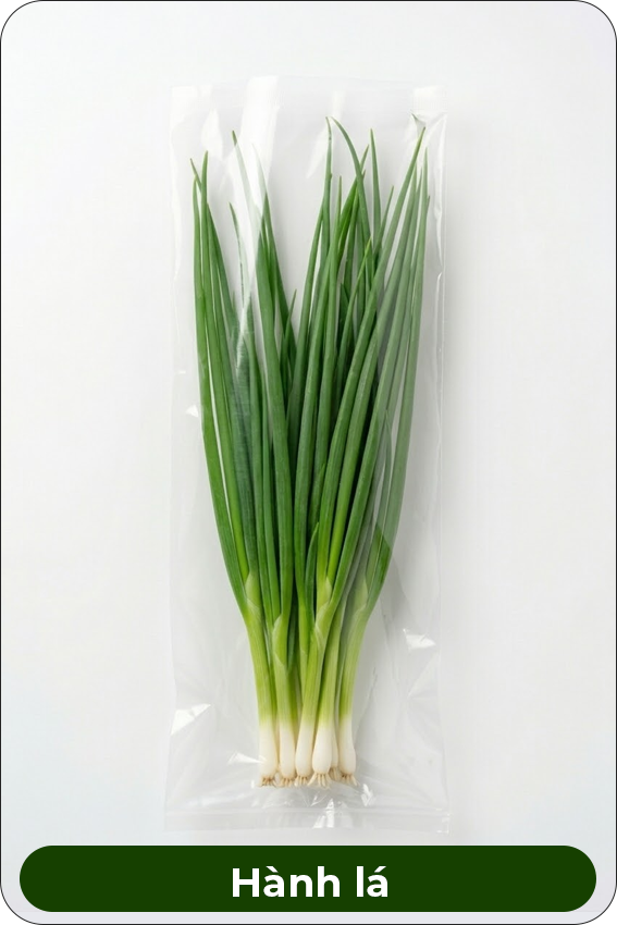 Hành lá