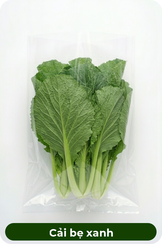 Cải bẹ xanh