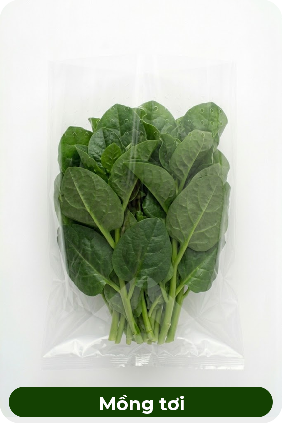 Mồng tơi
